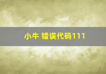 小牛 错误代码111